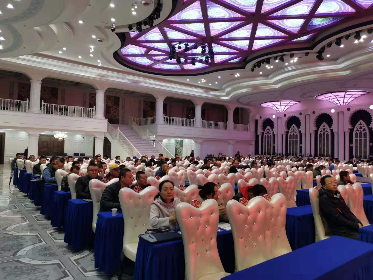 WechatIMG6.jpeg